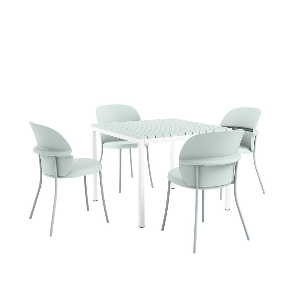 Begonia 5 piece set
