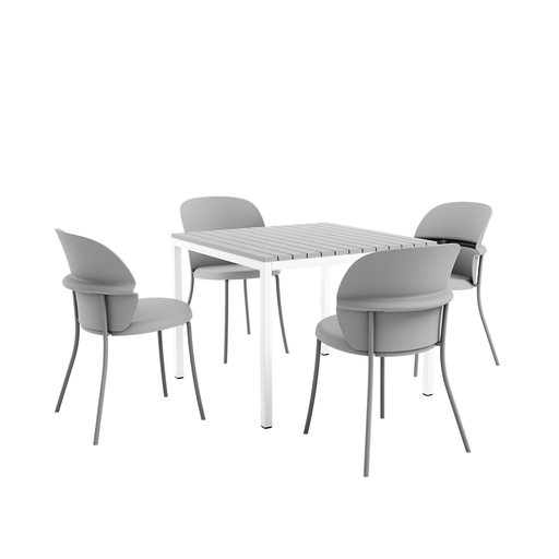 Begonia 5 piece set